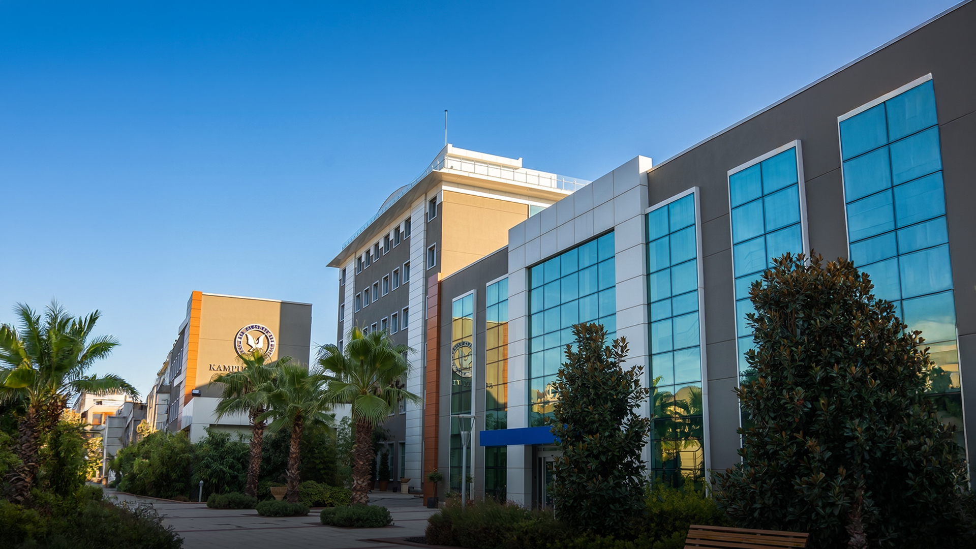YASAR University